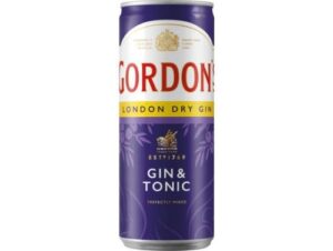 GORDON GIN & TONIC 25CL CAN /12